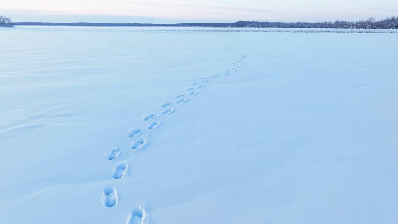 Snowcovered Lake With Solitary Footprints Leading Toward Distant Horizon, Evidence Of Lone Hiker Crossing