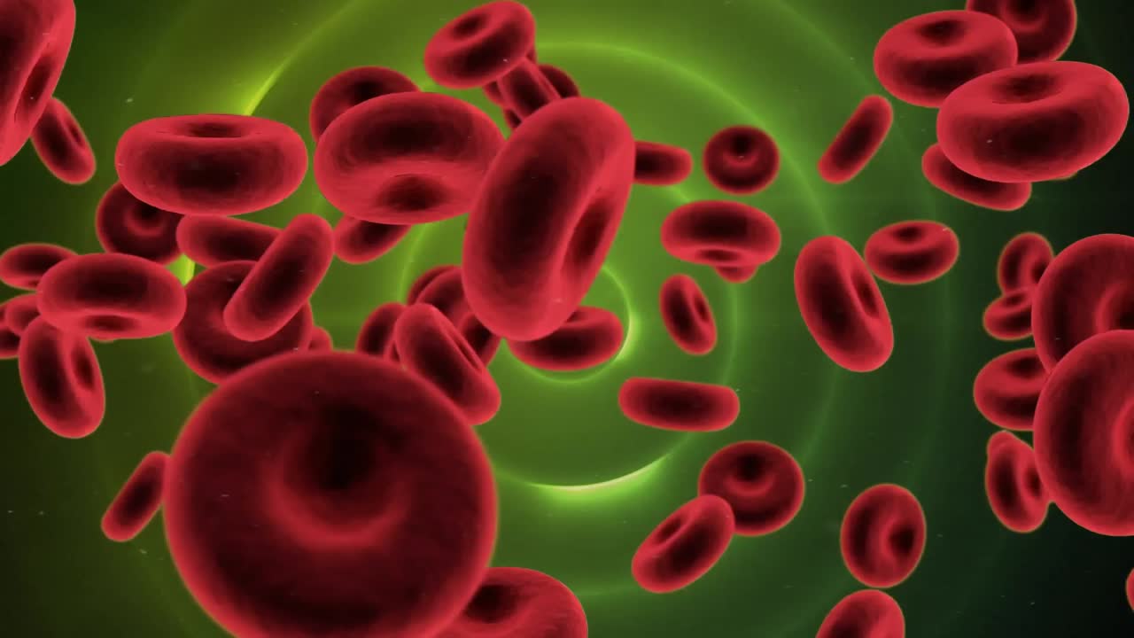 animación de las células sanguíneas sobre círculos amarillos