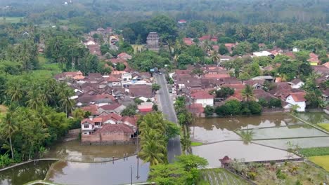 Drone-flying-over-rice-fields-with-temple-in-background-at-Mungkid-village,-Central-Java-in-Indonesia