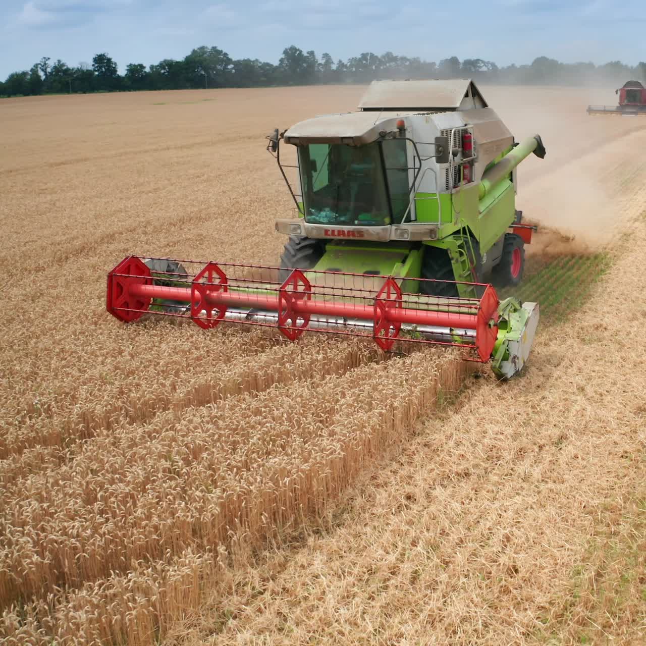 cosechadora en un campo de trigo