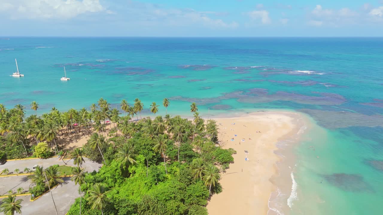 Tourist at sandy beach with palm trees and turquoise Caribbean sea. Sunny day in Samana, Dominican Republic. Aerial orbit wide shot.