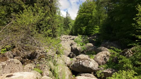 Footage-of-a-stone-river-surrounded-by-lush-green-forest,-on-a-sunny-day