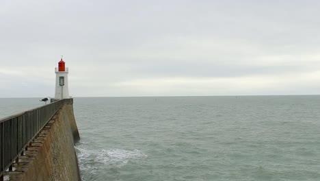 A-seagull-is-posted-on-a-railing,-in-front-of-a-red-lighthouse