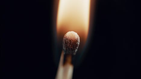 un fósforo sin encender se enciende en llamas en un primer plano extremo. se extingue y el humo gira hasta que se ha ido.