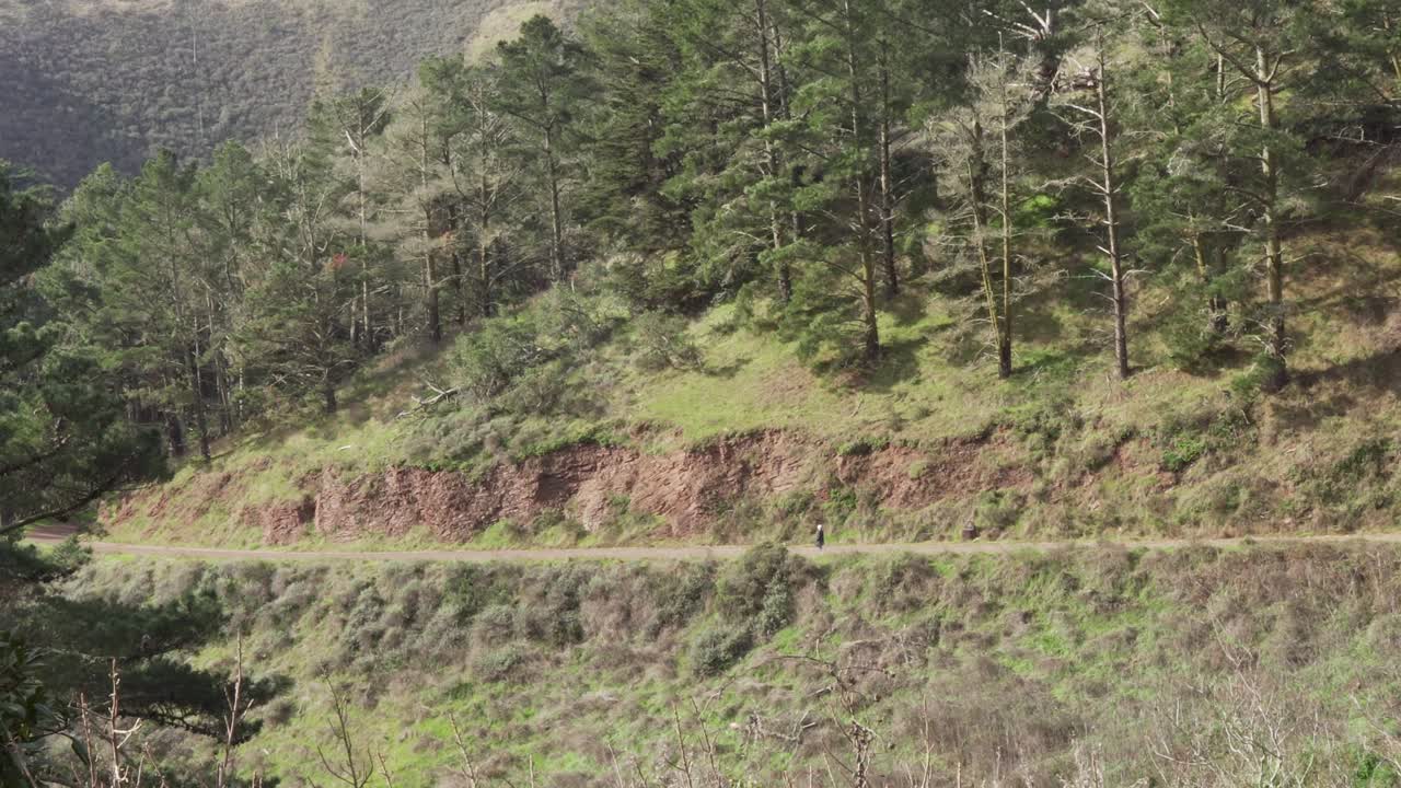 caminante solitario caminando por un sendero a través de una zona boscosa en el norte de california durante la tarde