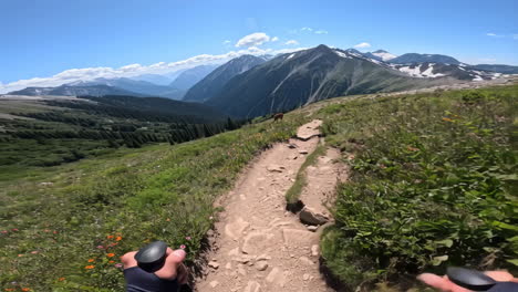 scenic mountain hiking trail with wildflowers, wildlife, and distant peaks