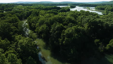Aerial-View-Over-River-And-Lake-Surrounded-With-Lush-Vegetation-In-AR,-USA---drone-shot