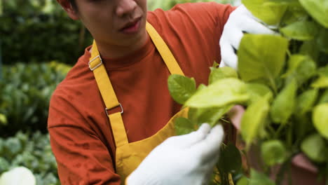 jardineros que trabajan en interiores