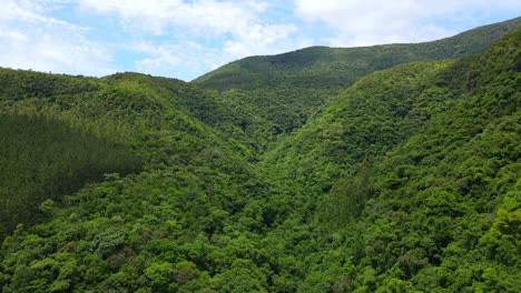 aerial drone view of a green valley with hills and dense forest