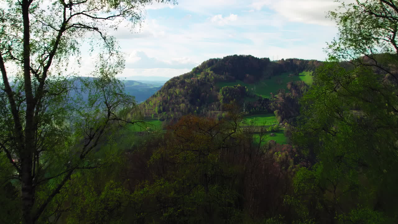 drone moviéndose entre las ramas de los árboles para revelar la zona rural cerca de montreux, suiza