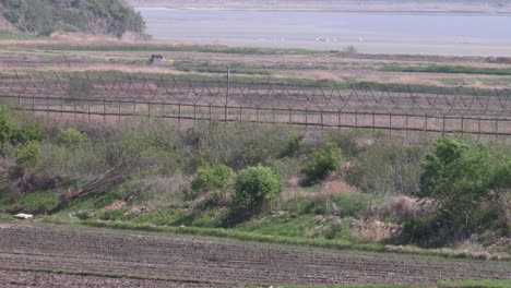 border between north and south korea at imjingak at the demilitarized zone