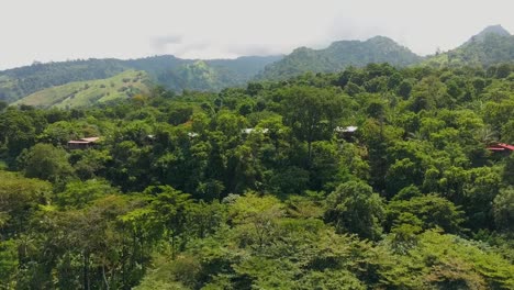 aerial ascending view over bangalows in forest, são tomé island