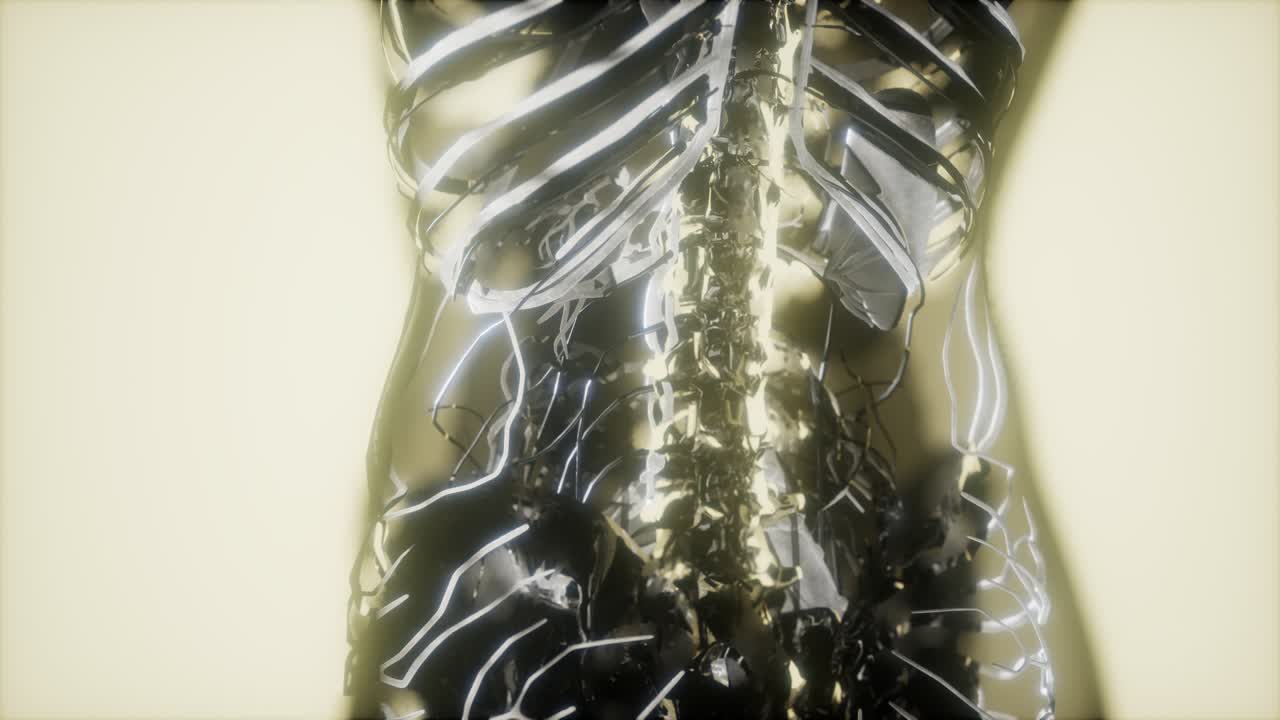 inspección de la sangre en los vasos sanguíneos del sistema circulatorio