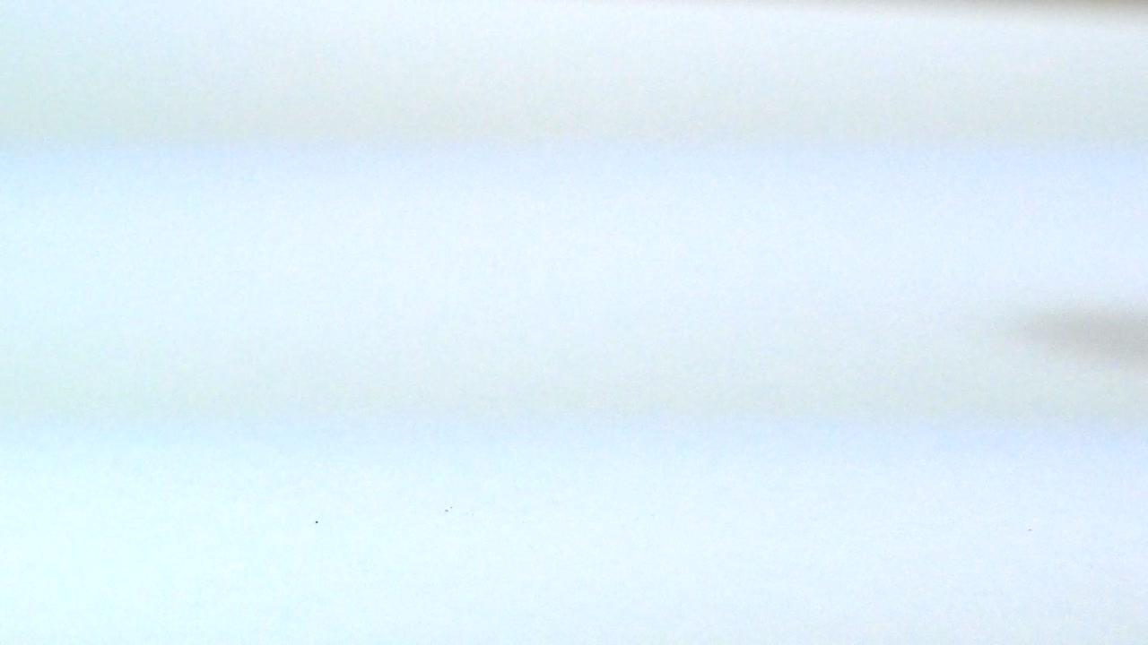 cerca de una mano que está pintando con un pincel para dorar el fondo blanco