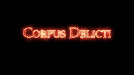 corpus delicti written with fire. loop