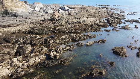 Aerial-View-Of-Low-Tide-Rugged-Shoreline-Rocks-At-Thurlestone-In-South-Devon