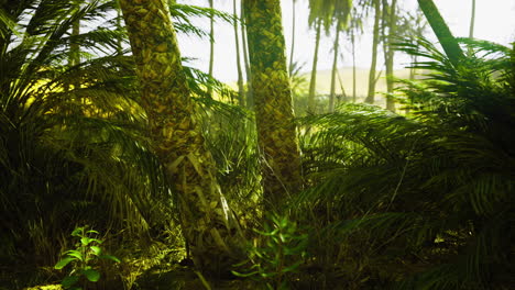 exploring vibrant foliage and tall palms in lush daylight