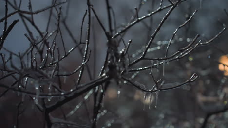 close-up of frosted bare tree branches coated with icicles and snowdrops, with a softly glowing light and blurred building in the background