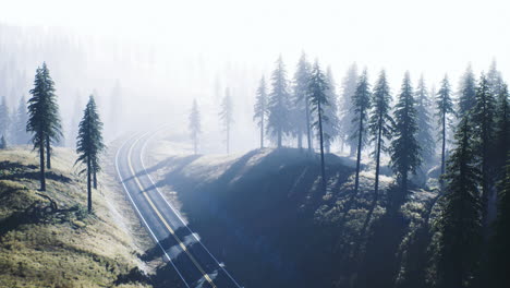 train tracks winding through misty forest landscape at dawn