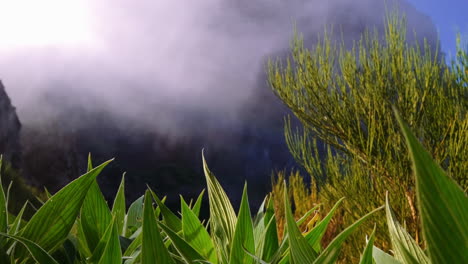 Low-angle-tilt-up-shot-of-mystic-fog-hovering-between-grass-in-the-valley-and-gigantic-Pico-Do-Arieiro-in-background