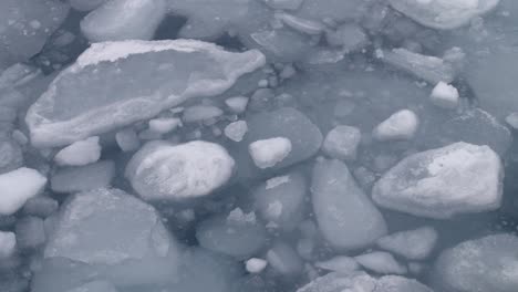 close up of small chunks of ice floating and spinning in the ocean off of the shores of greenland