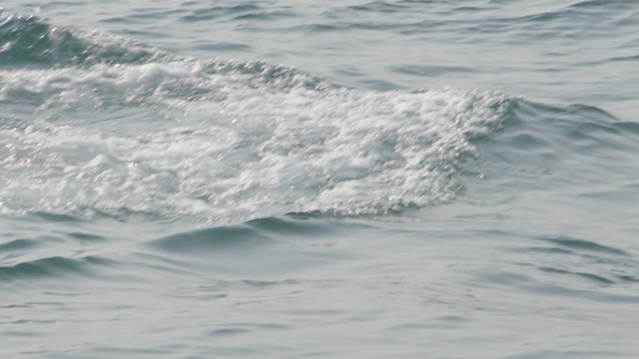 Swimming humpback whale with baby in calm ocean waters, creating gentle waves