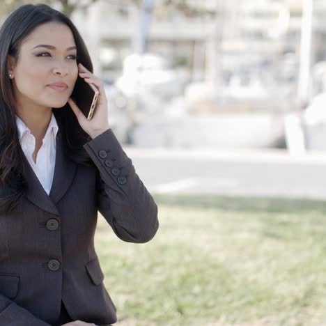 Young-Businesswoman-Talking-On-Her-Phone