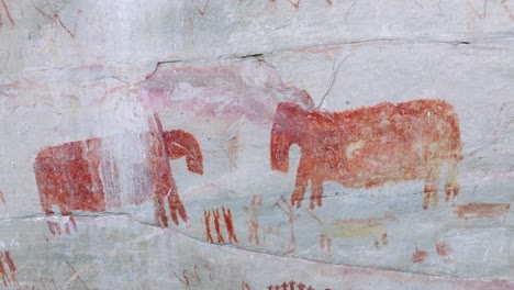 drone dolly shot getting close to ancient paintings representing two tapirs