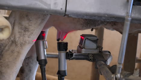 automatic milking in dairy farm by robot, electrical movements by hybrid automatic arm operating to locate teats and attach the milking cups, innovative milk production process and robotic technology