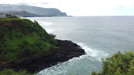 4k hawaii kauai tilt up from greenery with yellow flowers to reveal waves crashing on rocky shore with mountains in distance