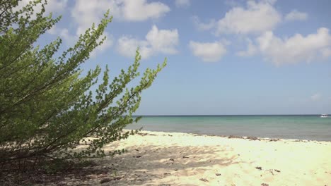 view of a beach with a white boat passing over the ocean