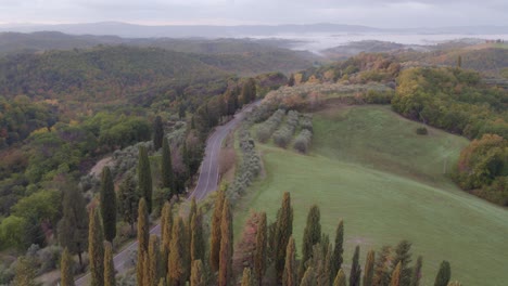 rural woodland road passing through scenic tuscany landscape, aerial