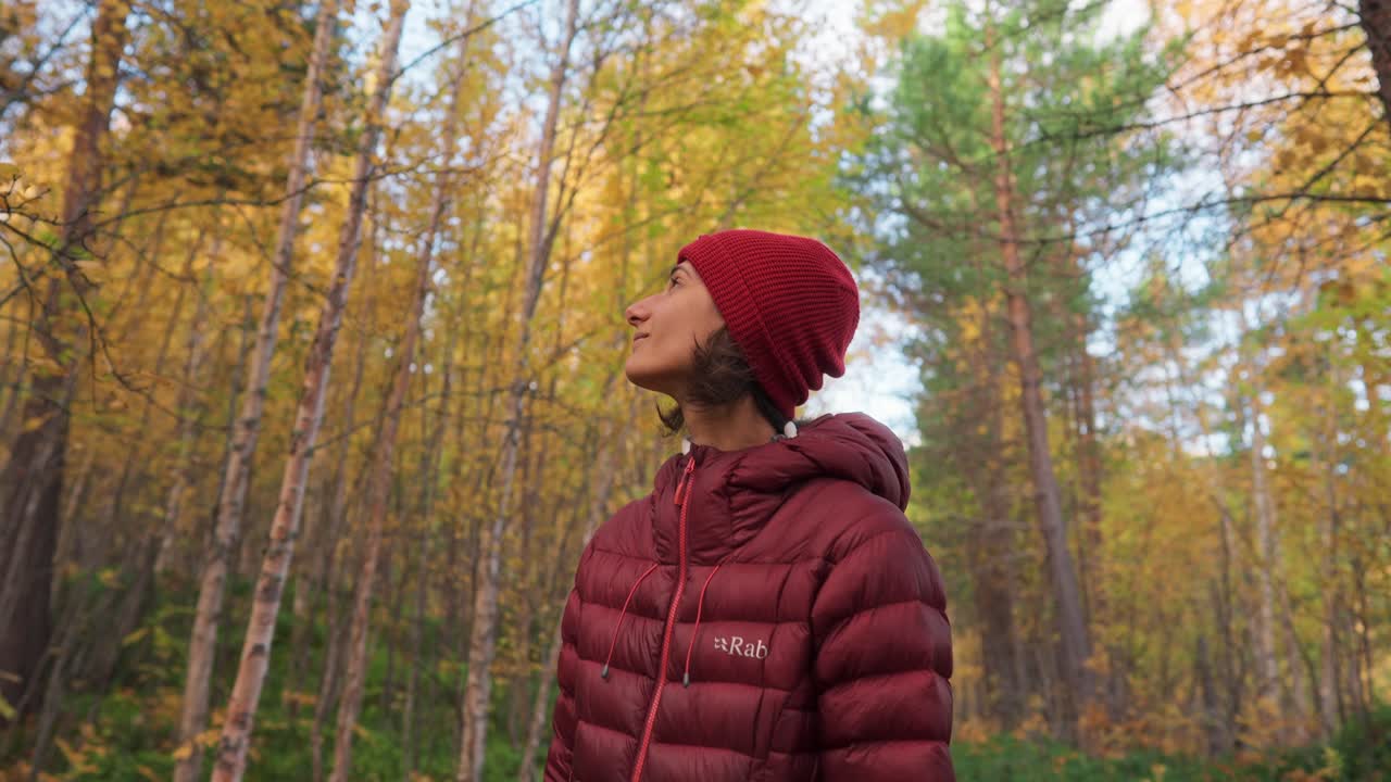 A woman gazing up at the trees in a vibrant, autumn forest in Vestarelen, Norway