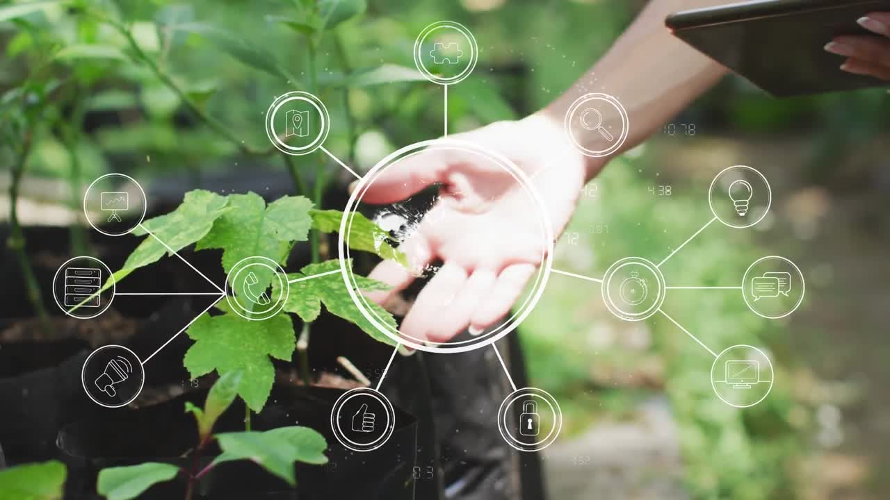 디지털 태블릿이 식물의 잎을 만지는 사람의 클로즈업에 대한 디지털 아이콘 네트워크