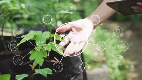Network-of-digital-icons-against-close-up-of-a-person-with-digital-tablet-touching-leaves-of-a-plant