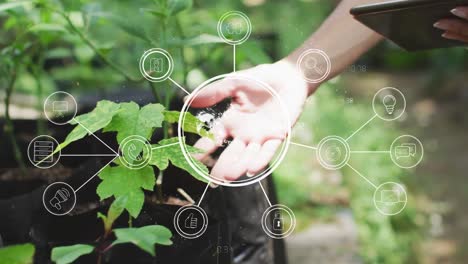 red de iconos digitales contra el acercamiento de una persona con una tableta digital tocando las hojas de una planta