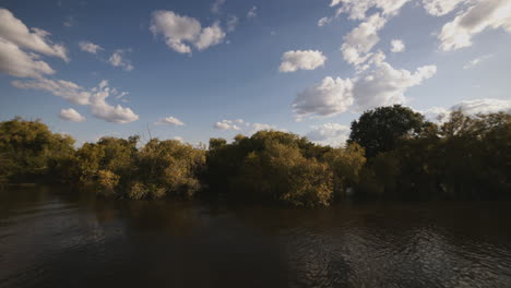 Slow-dolly-from-a-boat-of-the-trees-that-are-on-the-shore-of-a-river