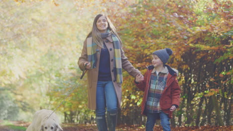 mother and son take pet golden retriever dog for walk on track in autumn countryside holding hands