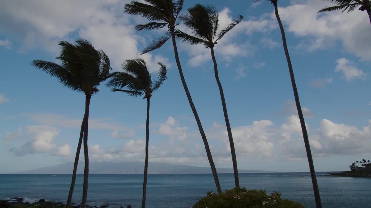 time lapse of a windy day in hawaii showing trees waving back and forth clouds going by and a sail boat