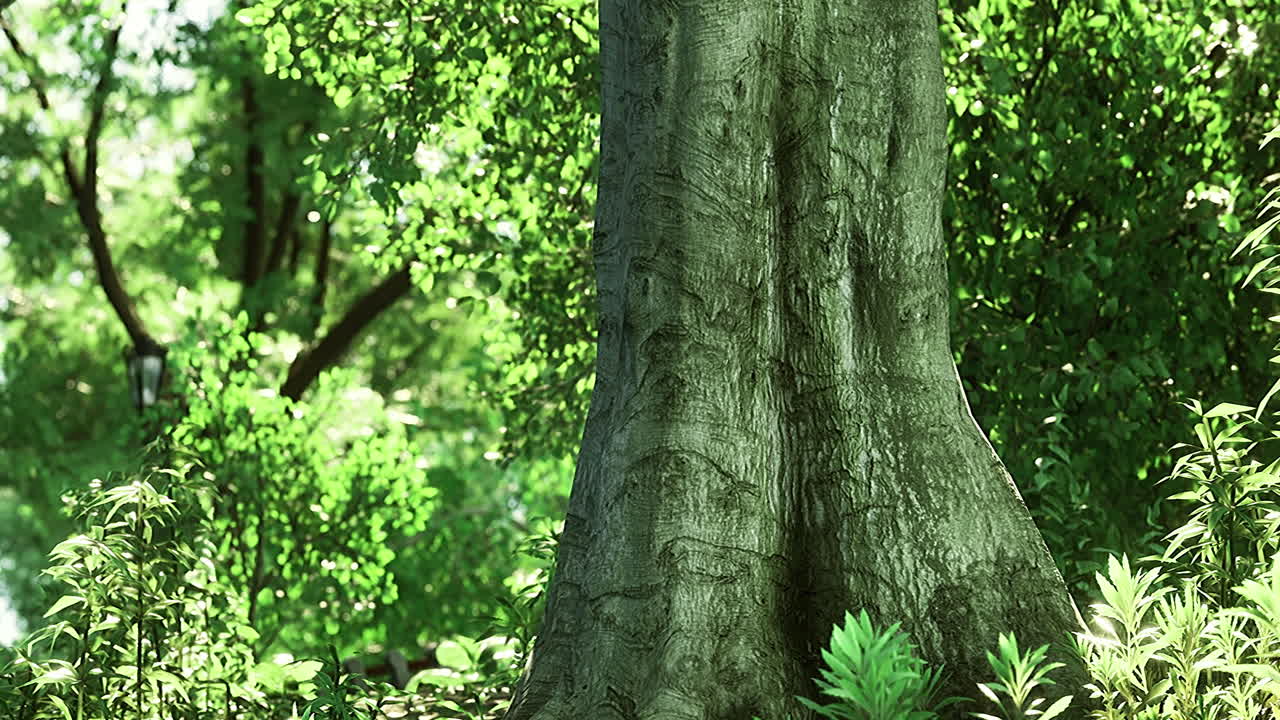 Exploring the lush greenery of a tranquil forest during a sunny afternoon