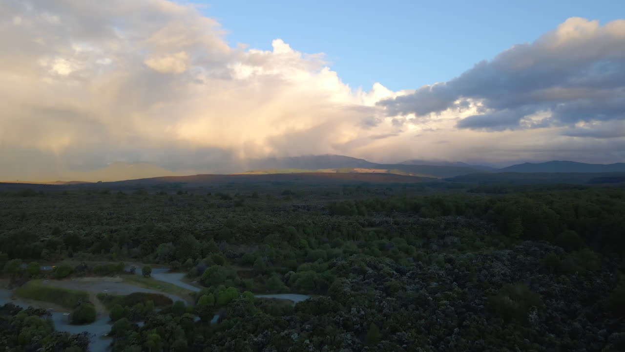 Dense green forest in blue evening light near Lake Te Anau in New Zealand
