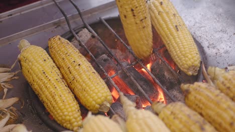 grilled corn on the cob