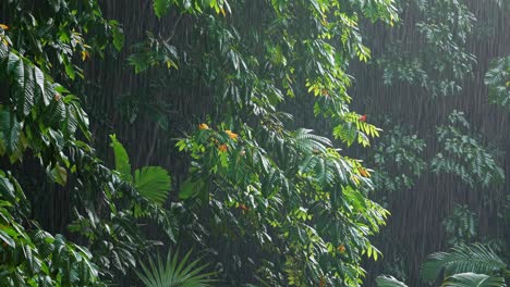 lush tropical foliage under rain