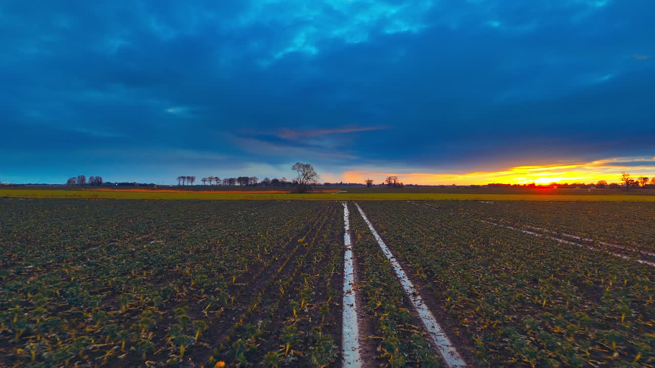 Scena rurale da sogno al tramonto con terreni agricoli, sentieri, albero malinconico e casa colonica, calda serata rosa e arancione. Pioggia con sentieri fangosi, pista, campagna invernale selvaggia, panorama inglese, stile di vita rustico