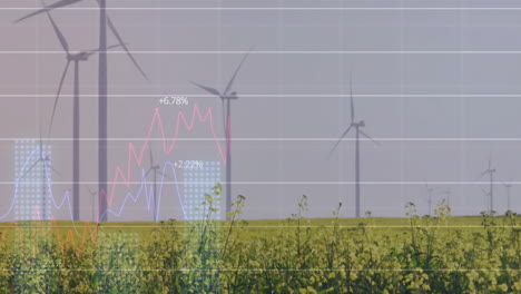 Animation-of-diagrams-and-data-processing-over-field-with-wind-turbines