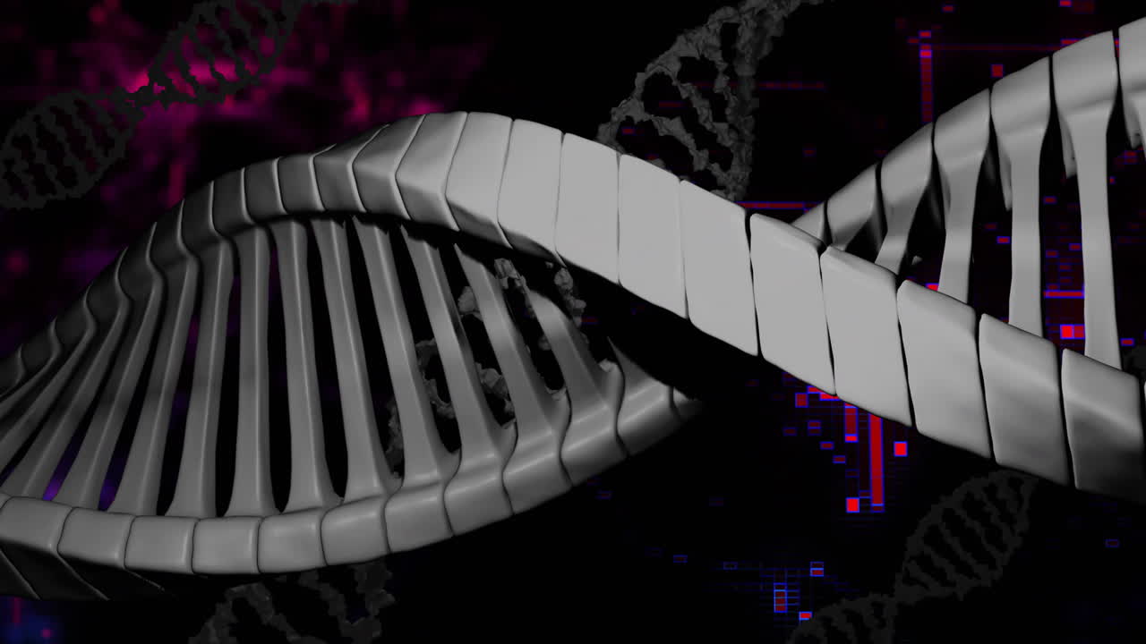 Animation of dna strands over diagrams and data processing