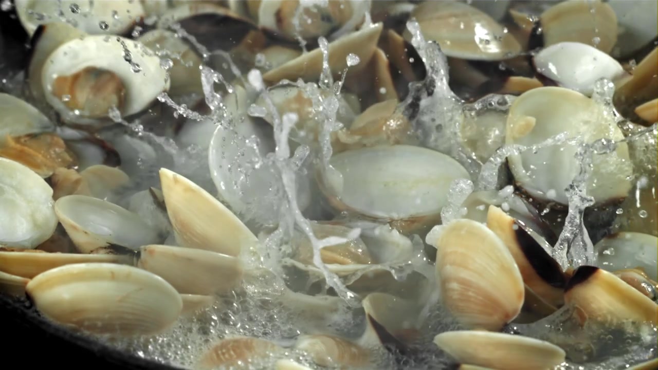 Slow Motion of Clams Opening While Cooking in Boiling Water