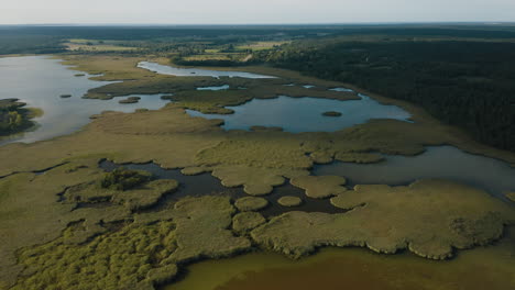 aerial shot of wetlands and forests