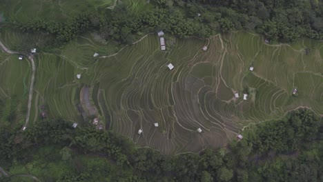 Revealing-mist-aerial-shot-of-farming-lands-in-a-mountain-valley-in-Nagaland