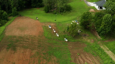 croatia family riding on horseback across farm into forest